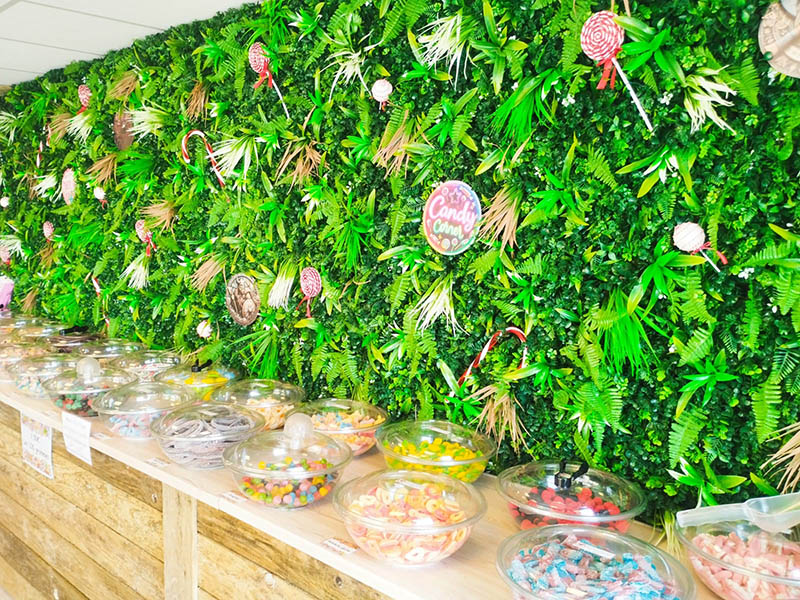 D�coration viking et v�g�tale